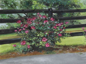 Roses on Fence; also available in 12 x 16 print